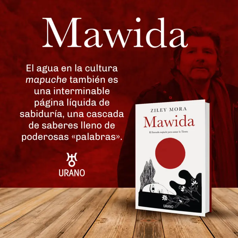 Mawida