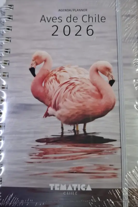 Agenda Aves De Chile 2026 Semana A La Vista 