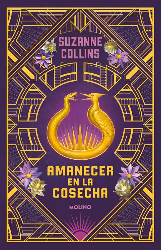 Imagen de sitio: Top10Books Librería | Busca Libros y Textos Escolares