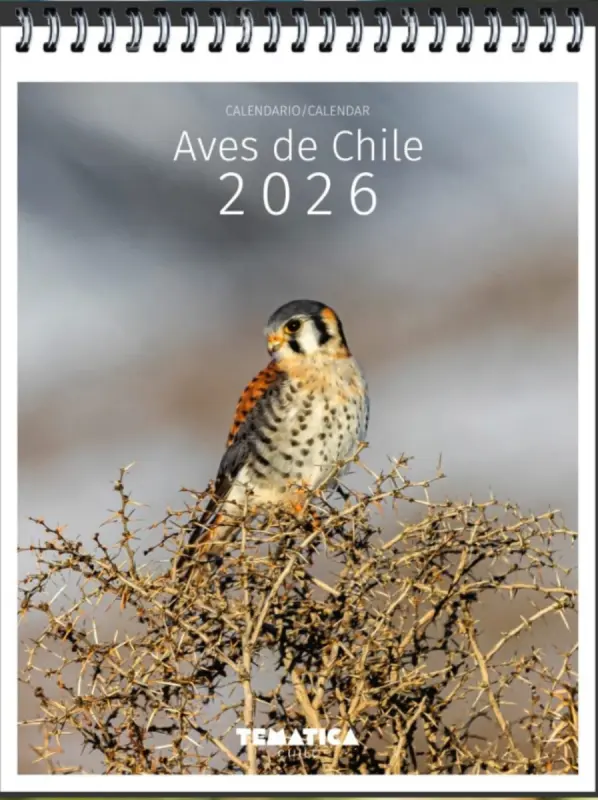Calendario Escritorio Aves de Chile 2026