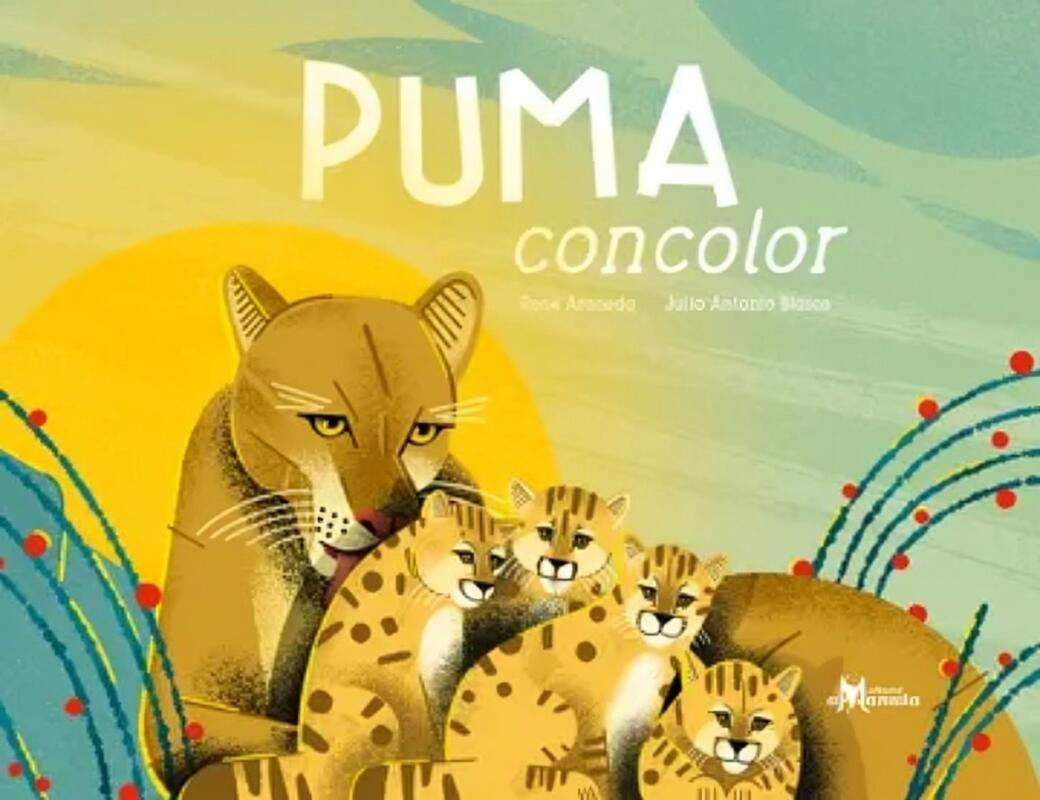 Imagen de sitio: Top10Books Librería | Busca Libros y Textos Escolares