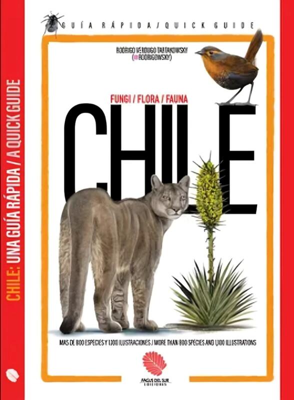 Imagen de sitio: Top10Books Librería | Busca Libros y Textos Escolares