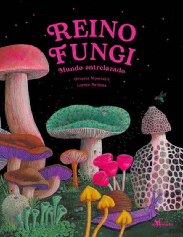 Imagen de sitio: Top10Books Librería | Busca Libros y Textos Escolares