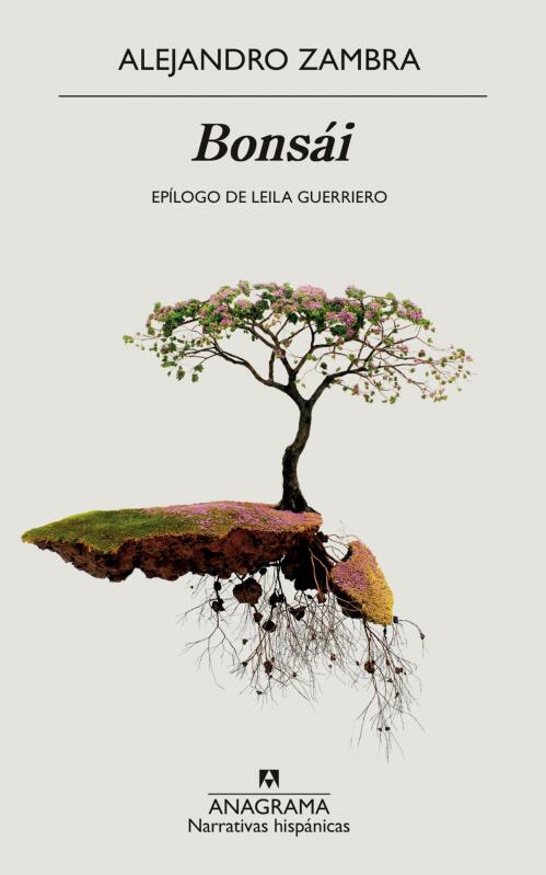 Imagen de sitio: Top10Books Librería | Busca Libros y Textos Escolares