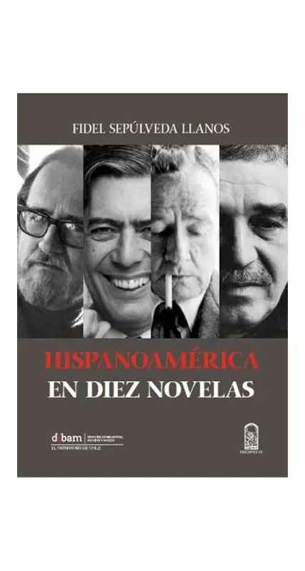 Hispanoamérica En Diez Novelas