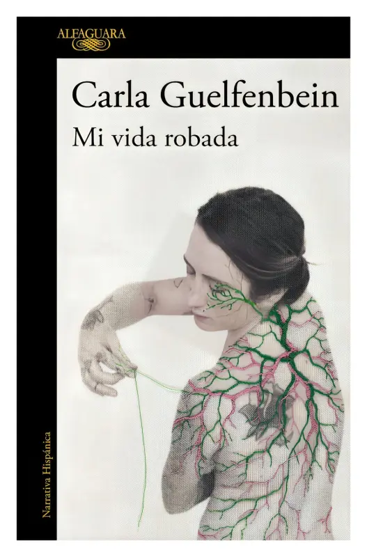 Mi Vida Robada