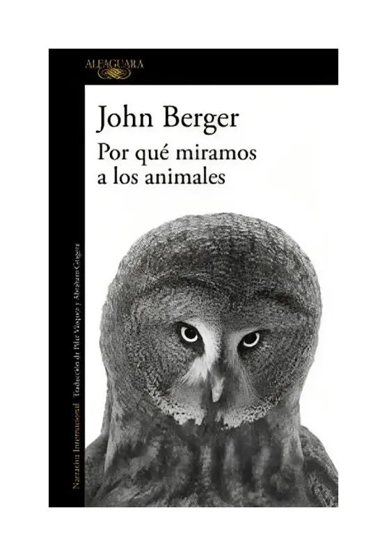 Por Que Miramos A Los Animales