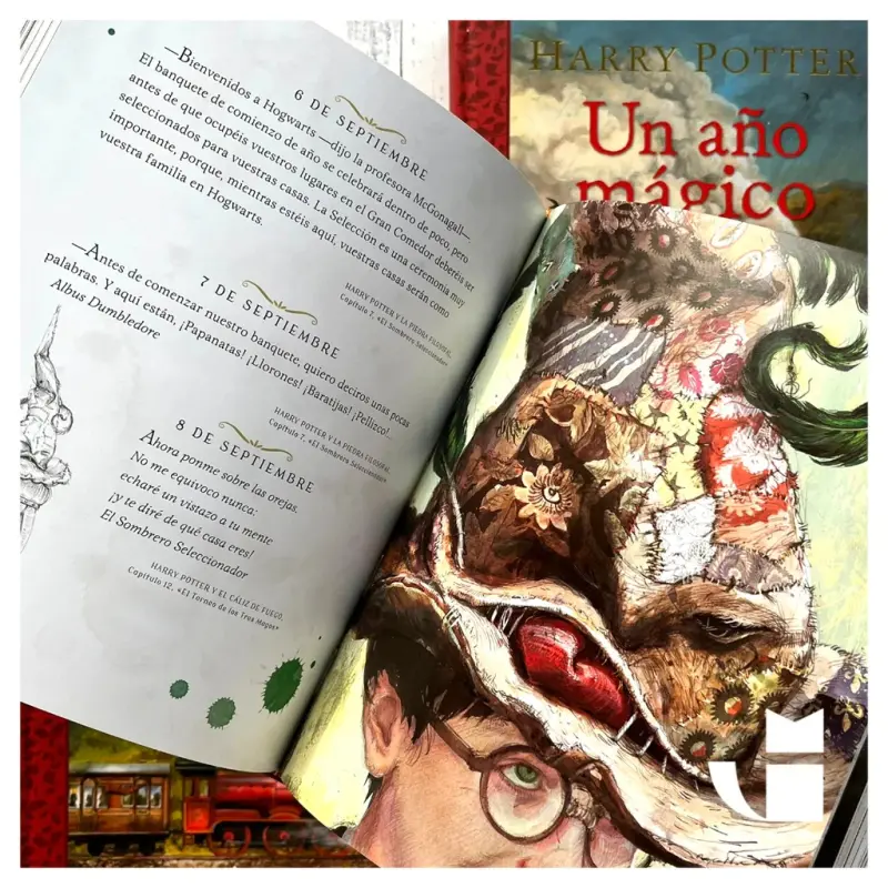 Harry Potter: Un Ano Magico