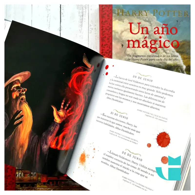 Harry Potter: Un Ano Magico