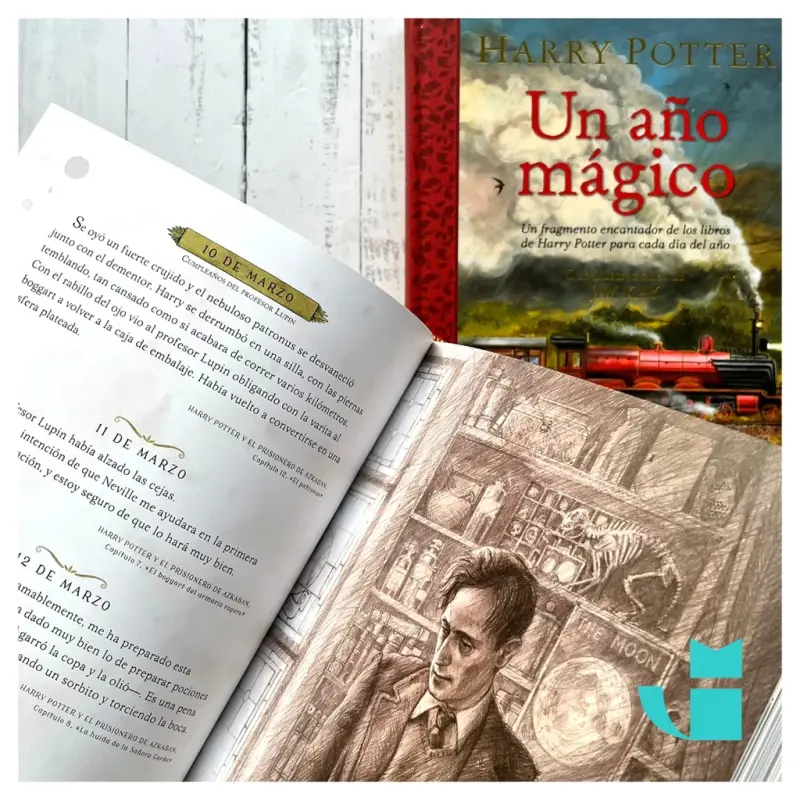 Harry Potter: Un Ano Magico