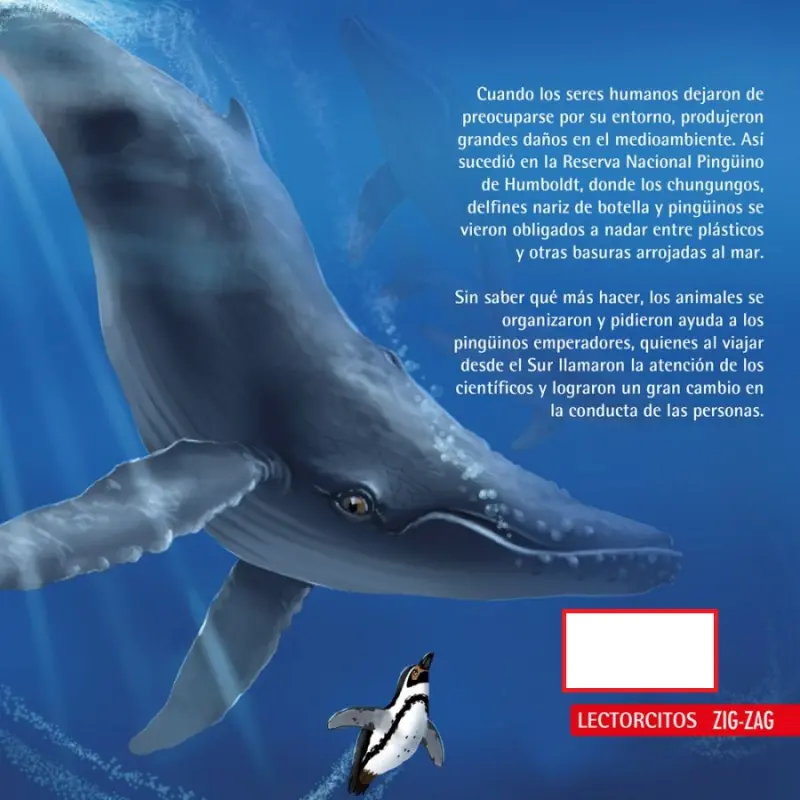 Los Pingüinos Emperadores Llegan Al Norte Chico