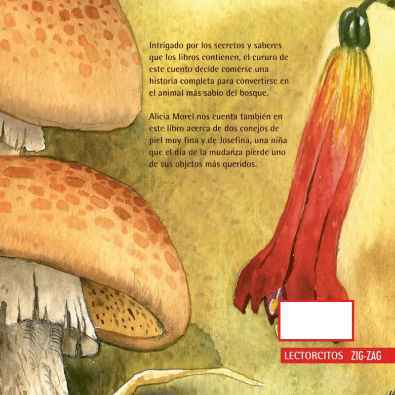 El Cururo Incomprendido Y Otros Cuentos