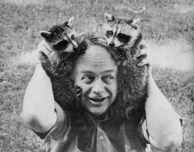 Rascal, Mi Tremendo Mapache