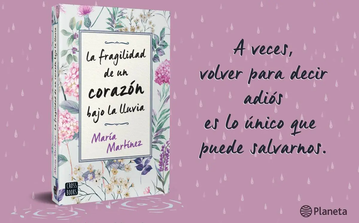 La Fragilidad De Un Corazon Bajo La Lluvia