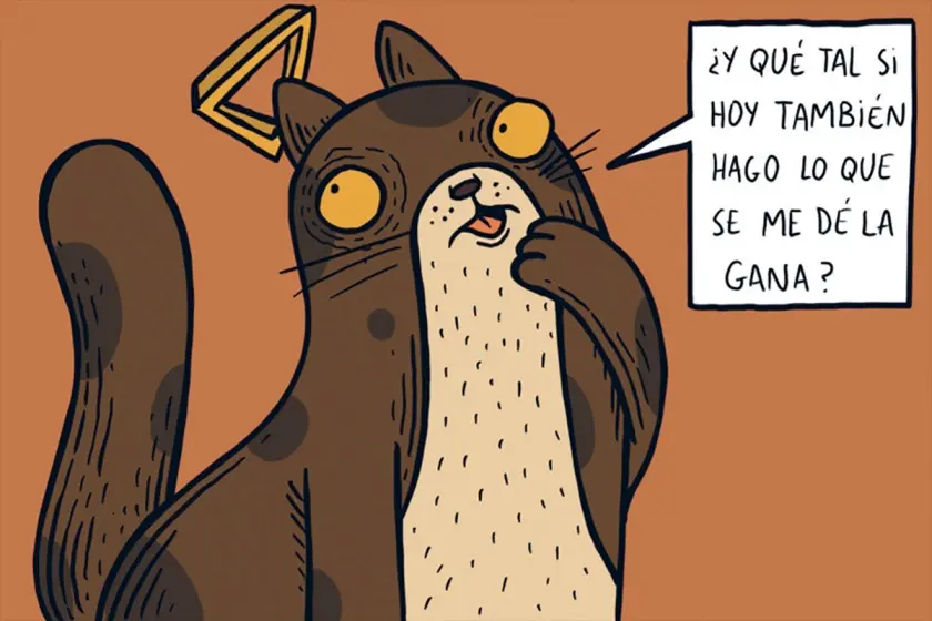La Conquista De Los Gatos