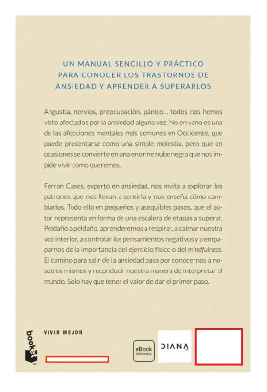 El Pequeno Libro De La Ansiedad