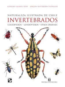 Naturaleza ilustrada de Chile. Invertebrados. Coleópteros – Lepidópteros – Otros órdenes