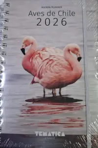 Agenda Aves De Chile 2026 Semana A La Vista 