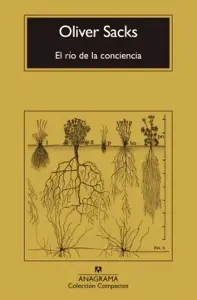 El Río De La Conciencia