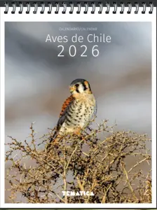 Calendario Escritorio Aves de Chile 2026