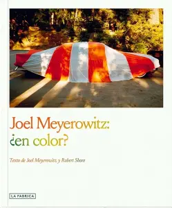 Joel Meyerowitz: ¿En Color?