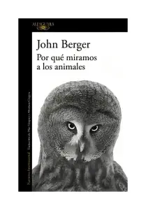 Por Que Miramos A Los Animales