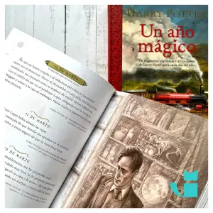 Harry Potter: Un Ano Magico