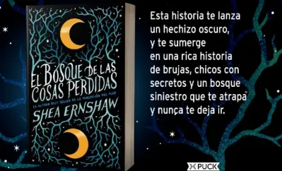 El Bosque De Las Cosas Perdidas