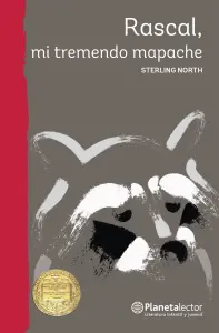 Rascal, Mi Tremendo Mapache