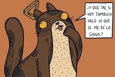 La Conquista De Los Gatos
