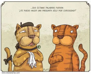 La Conquista De Los Gatos