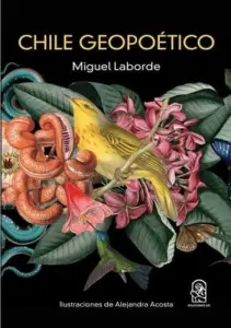 Chile Geopoetico