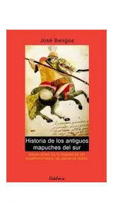 Historia De Los Antiguos Mapuches