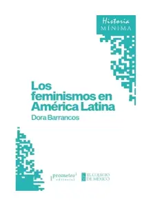 Los Feminismos En América Latina