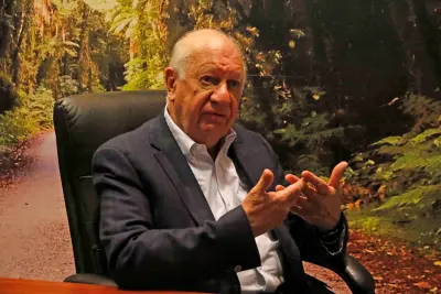 Mi Vida - Memorias II