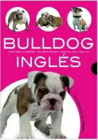 Bulldog Ingles