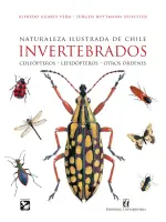 Naturaleza ilustrada de Chile. Invertebrados. Coleópteros – Lepidópteros – Otros órdenes