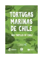 El Estadio De "La U". Un Sueño Arrebatado Por La Dictadura