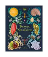 Disney. El Libro De Las Ideas