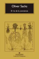 El Río De La Conciencia