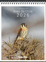 Calendario Escritorio Aves de Chile 2026