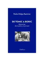 De Tomic A Boric. Memorias (De Lo Público Y Lo Privado)