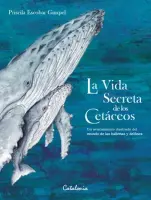 La Vida Secreta De Los Cetáceos