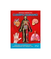 Miremos Dentro Del Cuerpo Humano