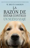 Razon De Estar Contigo Un Nuevo Viaje