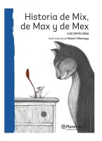Historia De MIX, De Max Y De Mex